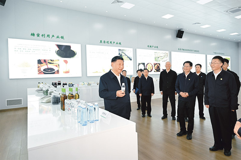 尊龙凯时·(中国区)人生就是搏!